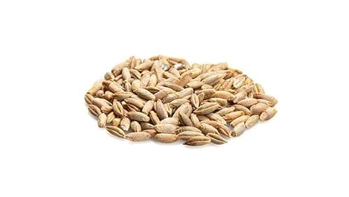 Yupik Organic Rye Kernels, 1 kg, Non-GMO, Vegan, Kosher, Raw Whole Grains, Salt-Free, Oil-Free, Source of Fiber, Ideal for Cooking & Sprouting — view 2
