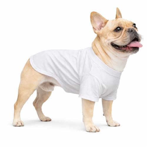 Lovelonglong Bulldog Clothes Dog Clothing Blank T-Shirt Tee Shirts for French Bulldog English Bulldog American Pit Bull Pugs 100% Cotton Skin Care White B-M