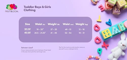Fruit of the Loom girls Briefs, 6 Pack - Toddler Assortment, 2-3T US — view 6