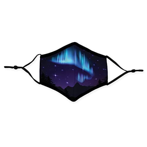 Weddingstar 3-Ply Adult Washable Cloth Face Mask Reusable and Adjustable with Filter Pocket - Northern Lights