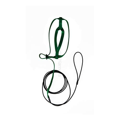The AVIATOR Pet Bird Harness and Leash: Small Green — view 2