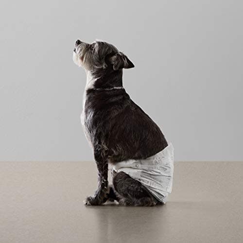Amazon Basics Dog and Puppy Pee Pads with 5-Layer Leak-Proof Design and Super Absorbent Surface for Potty Training, Odor-Control Carbon, XL Size, 28 x 34 Inch - Pack of 50, Gray — view 6