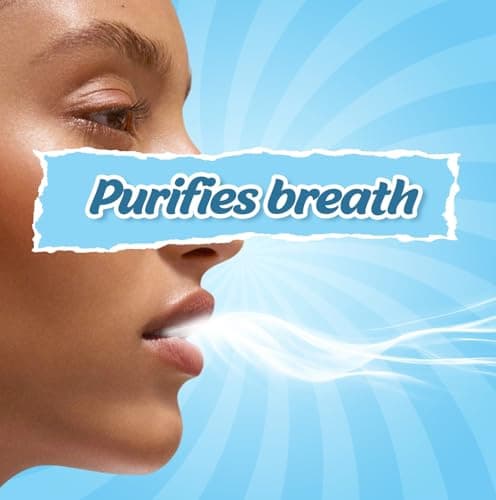 Mountain Breeze Oral Hygiene Mouth Freshener Sugar Free Cool Mint Flavoured Breath Strips (24 Strips Each Cassatte)-Pack of 1(3 Cassette) NEW — view 2