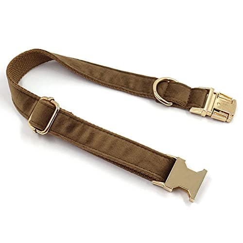 PETDURO Custom Dog Collar Personalized with Name Engraved Gold Metal Buckle for Large Medium Small Boy and Girl Dogs - Dog Leash and Bow Tie Set Available - Soft Comfy Velvet (Brown G, L) — view 6