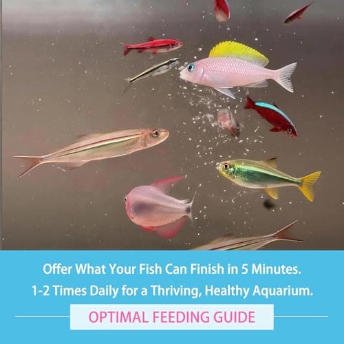 Vorenzyme Instant Daphnia Fish Food - No Hatch High Protein Fry Food with Astaxanthin for Betta, Guppy, Discus, Tropical Fish, Corals, Jellyfish & Seahorses in Saltwater & Freshwater Aquarium (50ml) — view 3