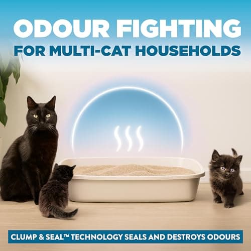 ARM & Hammer Cloud Control Clumping Cat Litter, Multi Cat, 6.35kg – 7 Day Odour Control, 99.9% Dust Free, Hypoallergenic Light Scent — view 2