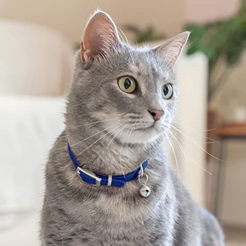 CollarDirect Leather Cat Collar with Bell - Kitten Collar, Small and Big Cat Collar for Boy Cats, Girl Cats with Safety Elastic Strap (Neck Fit 8"-11", Navy Blue) — view 5