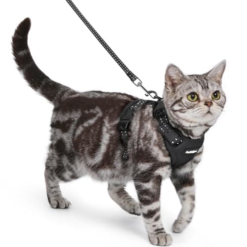 rabbitgoo Cat Harness and Leash, Easy-on with Neck Buckle, Black