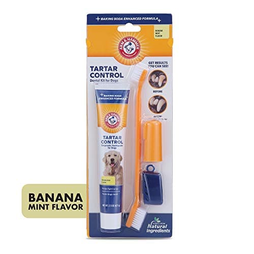 Arm & Hammer for Pets Tartar Control Dog Dental Care Kit, Banana Mint Flavor Toothpaste with Baking Soda, Double-Sided Toothbrush and Finger Brush Included, 2.5 Oz, 3-Piece - 2 Pack — view 5