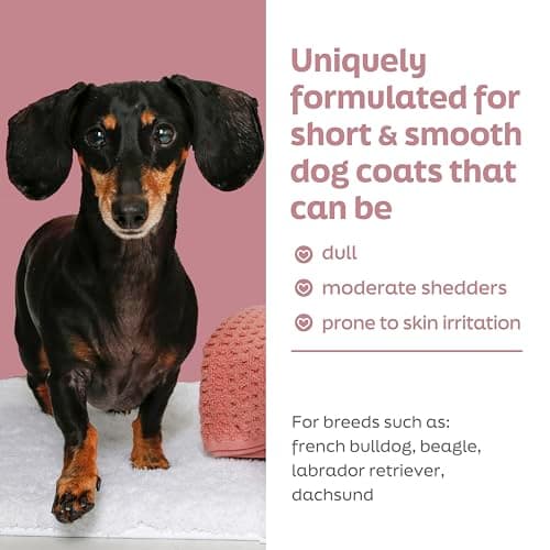 True Coat Short & Smooth Coat Dog Shampoo, 5 in 1 Soothes & Shines with Oat Milk, Coconut Oil & Vitamin E, 16 oz — view 2