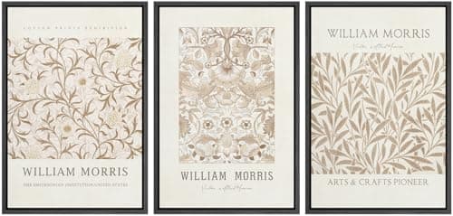 wall26 Framed Canvas Print Wall Art Set William Style Cotton Prints Exhibition Illustrations Modern Art Decorative Floral Botanical Minimal for Bedroom - 16"x24"x3 Black