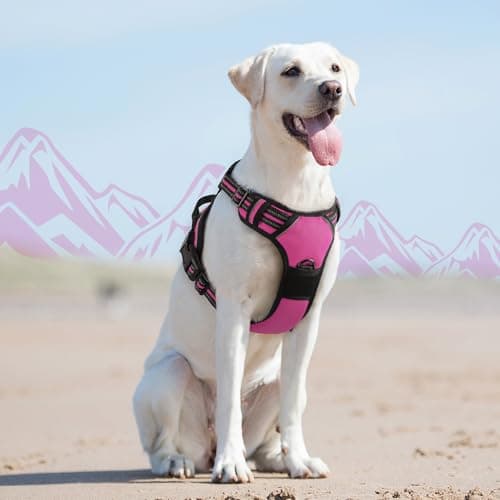 Eagloo Dog Harness No Pull, Walking Pet Harness with 2 Metal Rings and Handle, Adjustable Reflective Breathable Oxford Soft Easy Control Vest for Small Medium Large Dogs, Rose Red, L — view 8