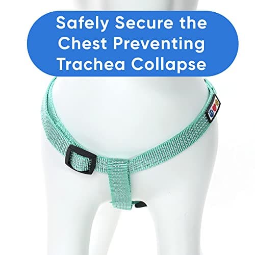 Pawtitas Reflective Step-in Dog Harness – Adjustable No-Pull Vest for Puppies to Seniors, Safe & Comfortable, S Teal — view 7