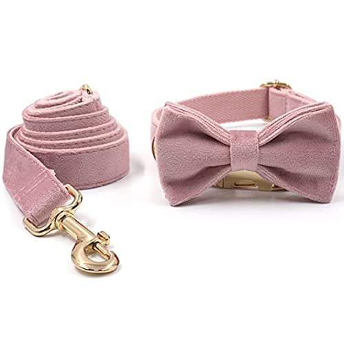 PETDURO Custom Dog Collar Personalized with Name Engraved Gold Metal Buckle for Large Medium Small Female Girl Dogs - Dog Leash and Bow Tie Set Available - Soft Comfy Velvet (Champagne Pink, S) — view 4