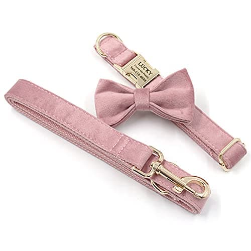 PETDURO Custom Dog Collar Personalized with Name Engraved Gold Metal Buckle for Large Medium Small Female Girl Dogs - Dog Leash and Bow Tie Set Available - Soft Comfy Velvet (Champagne Pink, S) — view 3