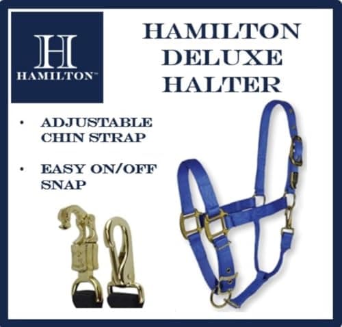 Hamilton 1DAS AVNV 1-Inch Nylon Halter with Adjustable Chin, Navy Blue - Average Size, 800-1100-Pounds — view 4