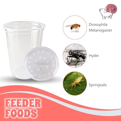 Snout and Shell Deli Cups with Fabric Vented Lids, 10 Pack - Secure Fruit Fly & Insect Cultures, Prevent Escapes & Contaminants, Easy Fruit Fly Media Preparation, Hot Liquid Safe — view 3