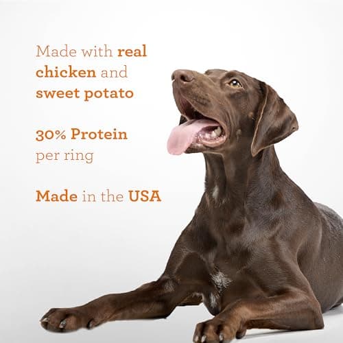 DreamBone Protein Rings with Real Chicken & Sweet Potato, 119 g, Rawhide-Free Protein Ring Chews, Artificial Free, for All Dogs — view 4