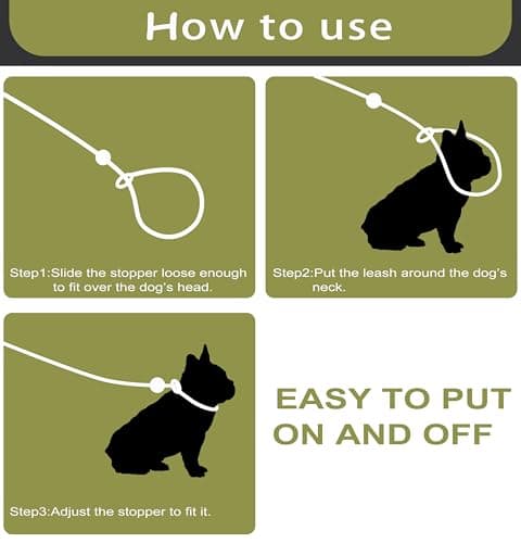 Green 6FT Heavy Duty Dog Training Leash - Comfortable Rope, No Pull, Suitable for Small to Medium Dogs — view 5