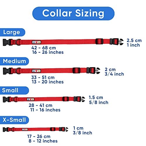Pawtitas Dog Collar Extra Small Solid Color Dog Collar Adjustable Puppy Collar Orange Dog Collar Matching Dog Leash and Dog Harness Available — view 5