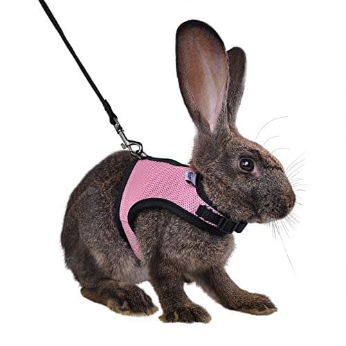 Niteangel Adjustable Soft Harness with Elastic Leash for Rabbits (Pink, Medium)