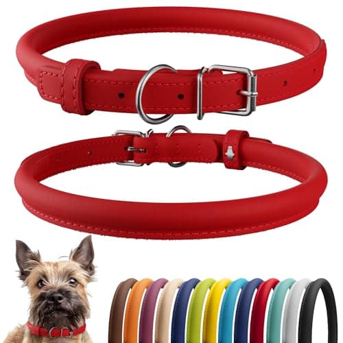 CollarDirect Rolled Leather Dog Collar, Soft Padded Round Puppy Collar, Handmade Genuine Leather Collar Dog Small Large Cat Collars (Red Smooth, 15-18 cm)