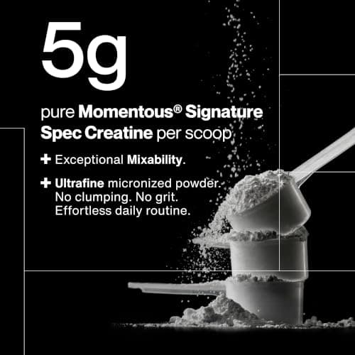 Momentous Creatine Monohydrate Powder - Creatine Powder - Supports Strength, Lean Muscle, & Recovery for Men & Women - NSF Certified for Sport - 5 g per Serving - 90 Servings — view 3