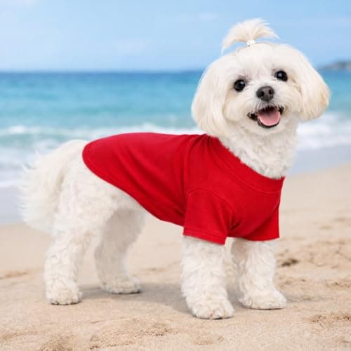 Lovelonglong Pet Clothing Dog Costumes Basic Blank T-Shirt Tee Shirts for Small Dogs Red S — view 7