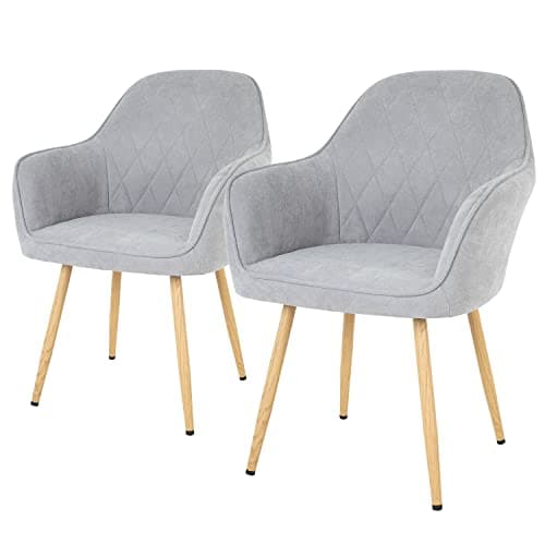 FDW Dining Chairs Accent Arm Chairs Dining Room Chair Kitchen Chair Dining Metal Side Chairs Arm Side Chairs Set of 2 for Home Kitchen Bedroom Living Room (Gray, Common Style)