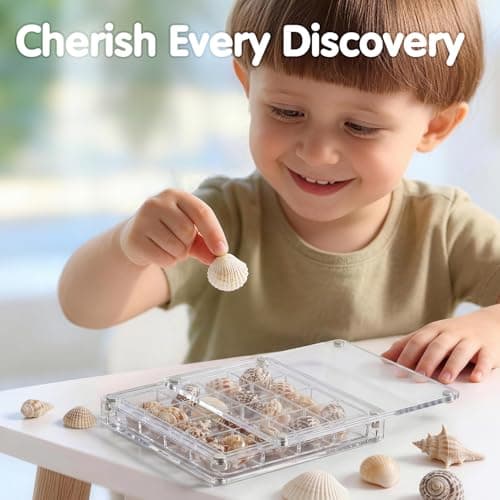 2 Pack Beach Sand Sifter with Seashell Bags & Shell Display Case, Beach Toys for Kids Beach Seashell Collecting, Seashell Beach Shovels for Boys and Girls — view 5