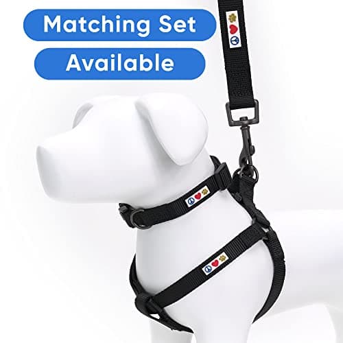 Pawtitas Solid Dog Leash Puppy Training Lead Black Extra Small/Small Daily Use Outdoor Control Laisse Solide Pour Chien Chiot Noir 1.8 m — view 4