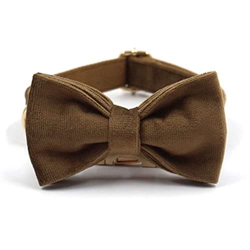 PETDURO Custom Dog Collar Personalized with Name Engraved Gold Metal Buckle for Large Medium Small Boy and Girl Dogs - Dog Leash and Bow Tie Set Available - Soft Comfy Velvet (Brown G, L) — view 7