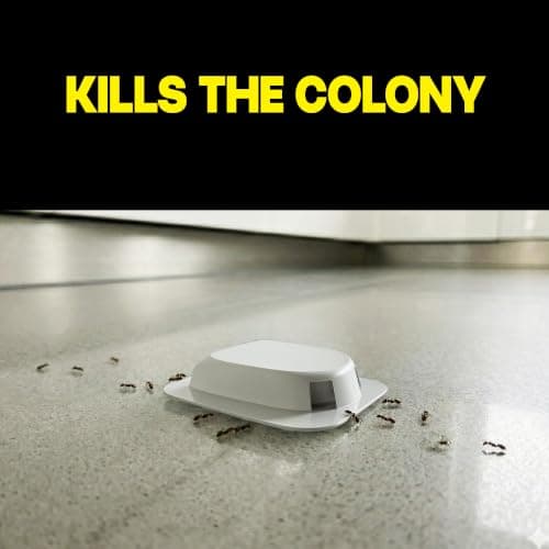 Raid Ant Killer Baits, for Household Use, Kills the Colony, Kills Ants for 3 Months, Child Resistant, 4 Count