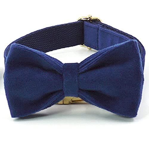 PETDURO Custom Dog Collar Personalized with Name Engraved Gold Metal Buckle for Large Medium Small Boy and Girl Dogs - Dog Leash and Bow Tie Set Available - Soft Comfy Velvet (Dark Blue, S) — view 7