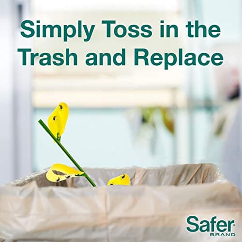 Safer's 07-2122CAN Houseplant Sticky Stake Insect Traps for Indoor Plants - Controls Fungus Gnats, Whiteflies, Midges, Thrips, Fruit Flies, and Black Flies - 12 Traps — view 3