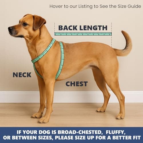 Spark Paws Dog Cooling Vest - SPF 50 UV Sun Protection - Summer Heat Relief Gear for Dogs, Lightweight, Evaporative Cooling - Dog Anxiety Relief Vest During Hot Days - Ice Blue, XL — view 6