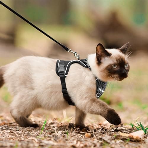 Cat Harness, Cat Harness and Leash for Walking, Adjusted in Four Directions and Breathable Cat Harness for Anti Escape that can be Fitted and Positioned, Reflective Strips Harness, Black, M — view 5