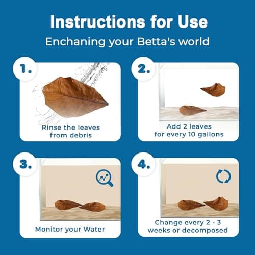 30PCS Premium Indian Almond Leaves,Size 6-9.8",Release Natural Tannins,Improves Immunity, Provide Shelter and Food in Fish,Leaf Suitable for Betta Fish,Shrimp, Snakes and Frogs — view 2