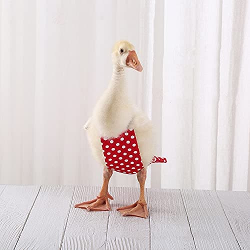 Chicken Duck Goose Diaper Washable Pet Bow Tie Diapers for Hens Roosters Poultry 1 Pack (M, Green) — view 4