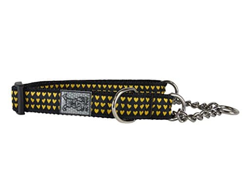 RC Pet Products 3/4 Inch Training Martingale Dog Collar, Small, Heart of Gold
