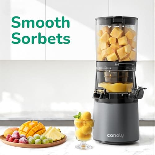 Canoly C16 Cold Press Juicer, 6" Extra Wide Feed Chute, 3-IN-1 Strainers (Juice & Sorbet & Nut Milk), Powerful AC Brushless Motor, Self Precut System, Juicer Machines with BPA-Free (Space Gray) — view 6