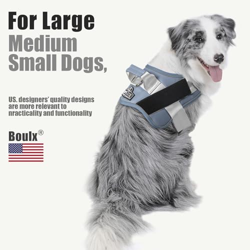 Bolux Dog Harness, No-Pull Reflective Dog Vest, Breathable Adjustable Pet Harness with Handle for Outdoor Walking - No More Pulling, Tugging or Choking (Blue, S) — view 4