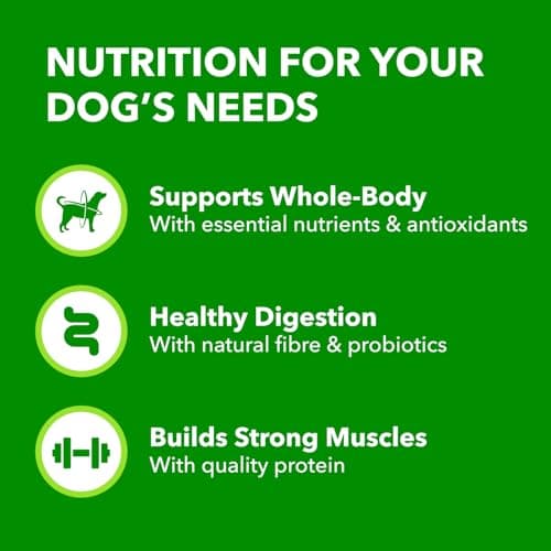 IAMS Proactive Health Minichunks Dry Dog Food – Crunchy Kibble for Adult Dogs – Chicken & Whole Grain Recipe – 1.50KG (3.3LB) Bag — view 4