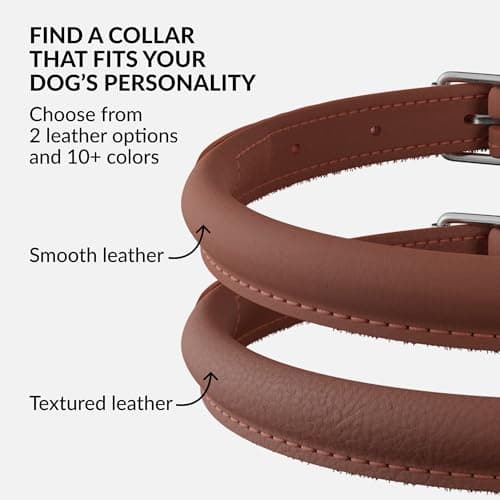 CollarDirect Rolled Leather Dog Collar, Soft Padded Round Puppy Collar, Handmade Genuine Leather Collar Dog Small Large Cat Collars (Cinnamon Smooth, 15-18 cm) — view 4