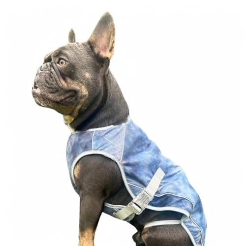 Spark Paws Dog Cooling Vest - SPF 50 UV Sun Protection - Summer Heat Relief Gear for Dogs, Lightweight, Evaporative Cooling - Dog Anxiety Relief Vest During Hot Days - Ice Blue, XL