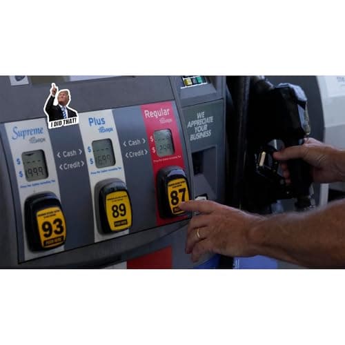 100pcs Trump I Did that Stickers Gas Pump Stickers Decal, Anti Trump Stickers, Fuck Donald Trump Mega Merchandise