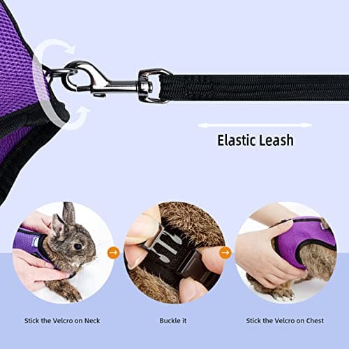 Niteangel Adjustable Soft Harness with Elastic Leash for Rabbits (XL, Blue) — view 3
