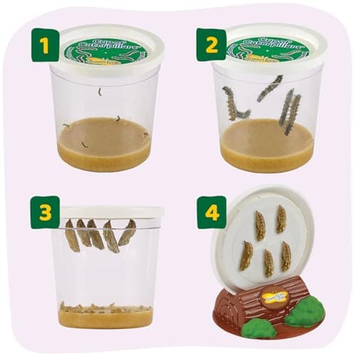 Insect Lore Raise and Release Butterfly Garden Kit – Caterpillar Habitat with redeemable Voucher – STEM-accredited Butterfly Growing Kit for Kids, Classrooms, and Homeschool Learning — view 6