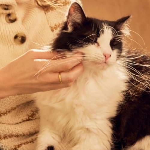 MRS. MEYER'S Clean Day Cat Deodorizing Spray, White Peach Scent, 8oz — view 10