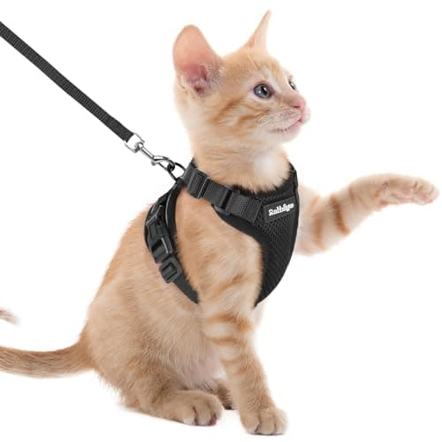 rabbitgoo Cat Harness and Leash for Walking, Escape Proof Soft Adjustable Vest Harnesses for Small Medium Cats, Easy Control Breathable Reflective Strips Jacket, XXS, Black